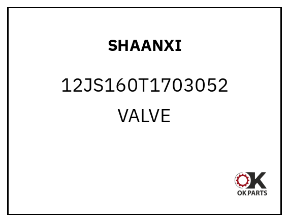 SHAANXI 12JS160T1703052 VALVE