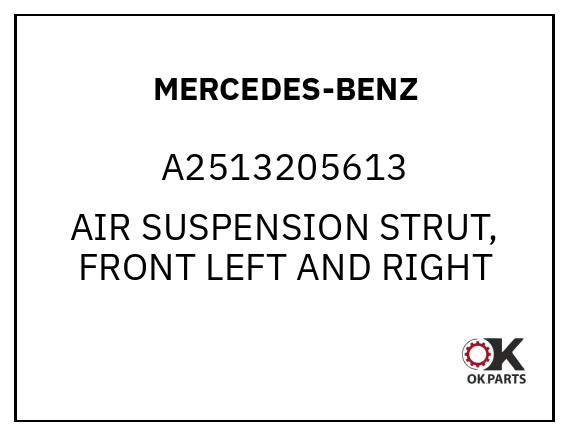 MERCEDES-BENZ A2513205613 AIR SUSPENSION STRUT, FRONT LEFT AND RIGHT