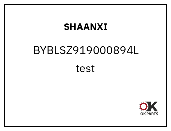 SHAANXI BYBLSZ919000894L 