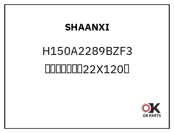 SHAANXI H150A2289BZF3 后轮胎螺丝滚花22X120长