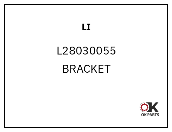 LI L28030055 BRACKET