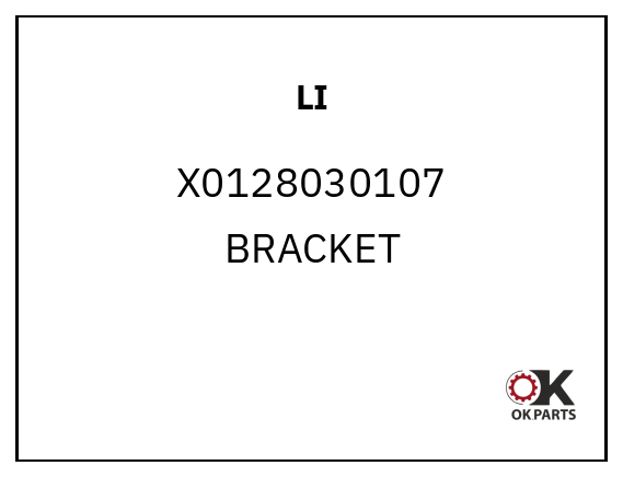 LI X0128030107 BRACKET