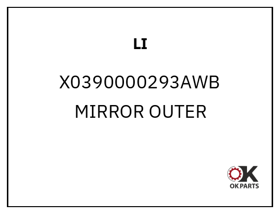 LI X0390000293AWB MIRROR OUTER